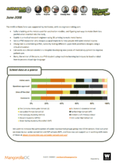 Artificial Body Zone Report – June 2018